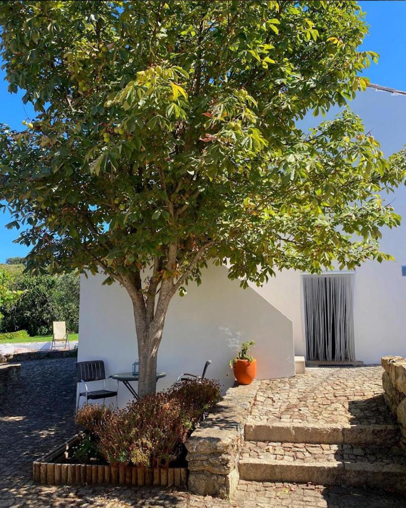 Marvão Quinta D'Abegoaヴィラ エクステリア 写真