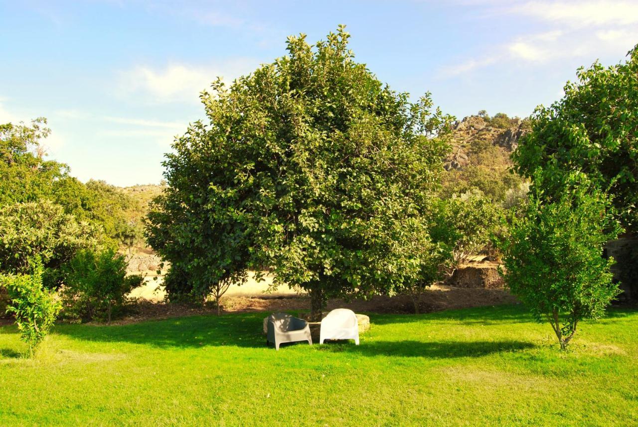 Marvão Quinta D'Abegoaヴィラ エクステリア 写真